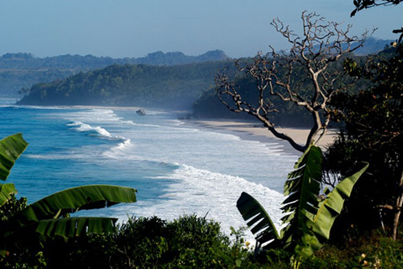 http://coastalcare.org/wp-content/gallery/botm-200909/botm-nihiwatu-beach-sumba-indonesia-6.jpg