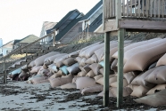 Sand Bags