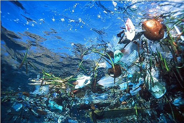 Image result for plastic pollution in the ocean