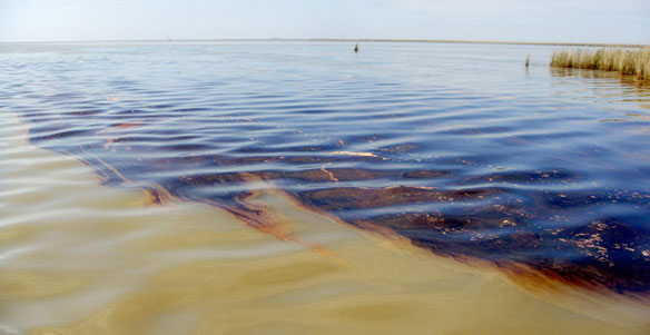 la-oil la-oil