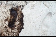 oil-footprint