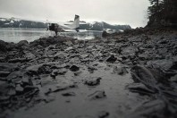 exxon-oil-spill.jpg_full_600