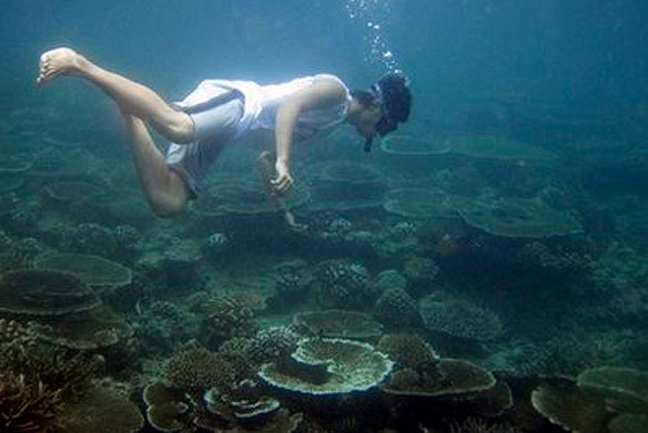 Aceh Coral Bleaching Aceh Coral Bleaching