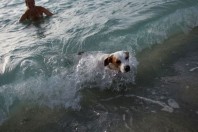 beach-hfp2