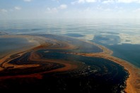 gulf-oil-spill17