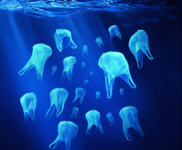 meduses2