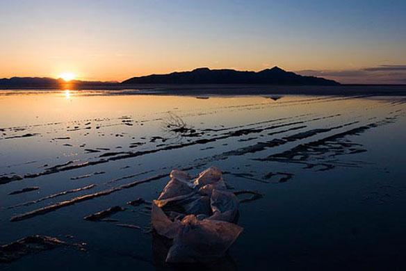 Plastic Pollution Coast