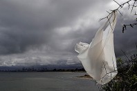 plastic-pollution-beach-brighton