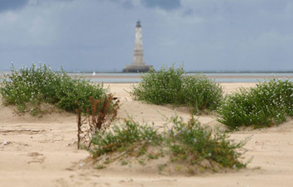 ile-mysterieuse ile-mysterieuse