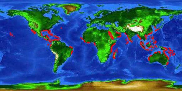 Mangroves map Mangroves map