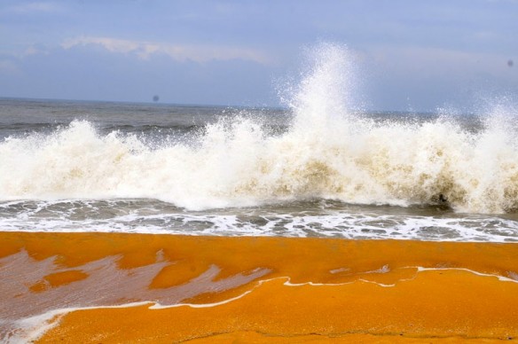 Image result for orange sand beach