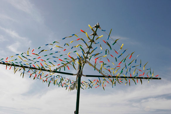 No Tree