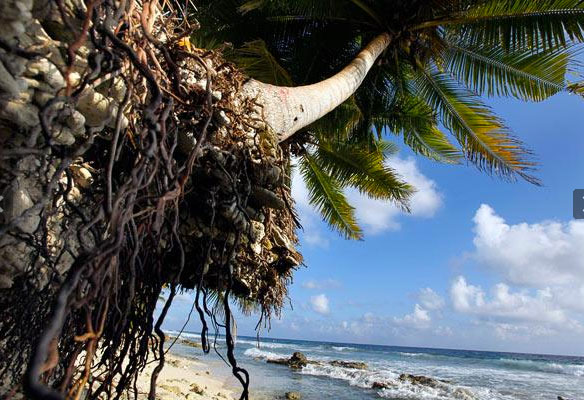 Maldives Beach Erosion Maldives Beach Erosion