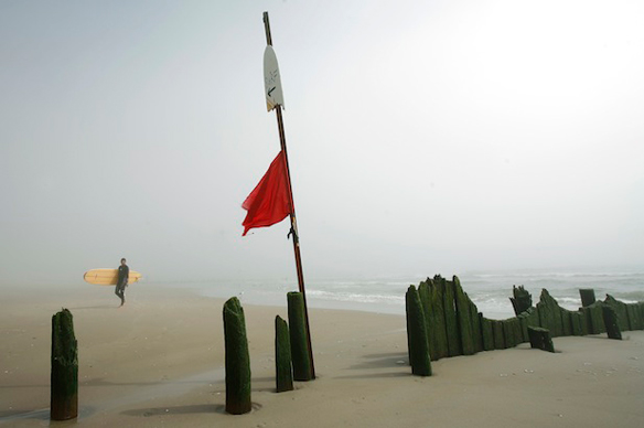 Beach Fog Surfer