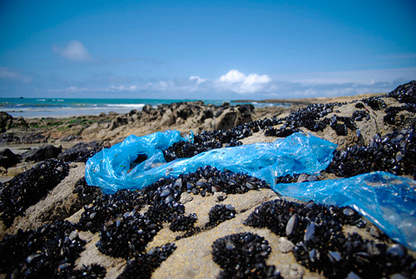 Plastic Pollution Coast Plastic Pollution Coast