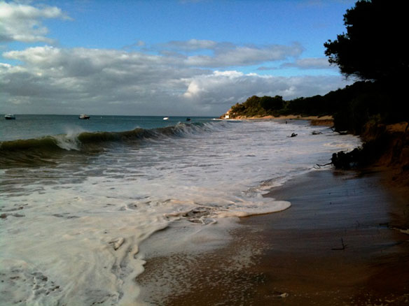 Portsea Australia Portsea Australia