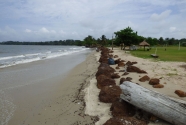 Figure-14-649-laterite-seawall