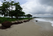 Figure-15-662-laterite-boulder-seawall