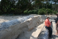 Figure-8-2237-scarp-Pongara-NP