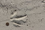FIGURE-13