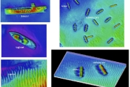A variety of structures at the Redbird Reef site as imaged with high-resolution multibeam echosounder data.