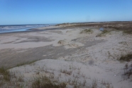 6. The margins of a washout among the dunes
