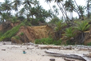 Fig.-2-two-beaches-section