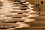 Beach cusps