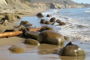 Photo-8