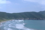 Figure-7-NEGUANJE