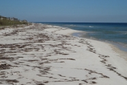 Figure-2-swash-lines