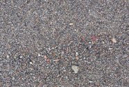 Figure-13.-Black-Sand-Close-up