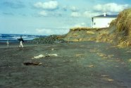 Figure-6.-OCEANSHORES-WA.passive-erosion-3_1998