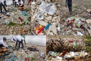 Isla-carena-litter