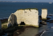 Old Harry