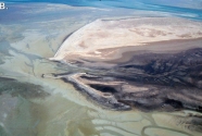 Highly exposed sandy tidal flats