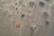 Medium-grained sands of St. Ninian’s Tombolo.