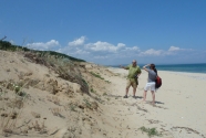 Relict dune cut by storm waves