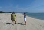 Beach survey in June 2013 - in the middle part of the beach