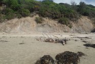 Fig.-10-Moeraki