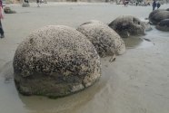 Fig.-4-Moeraki