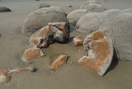 Fig.-5b-Moeraki