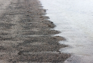 Figure-10-Beach-cusps-on-Eastport-Beach