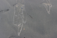 Figure-15-Ellison-swash-hand-mark