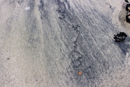 Figure-16-Ellison-beach-trace-pattrn