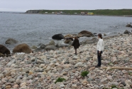 Figure-2-Green-Point-Neal