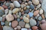 Figure-3-SS-Ethie-site-Martin's-Point