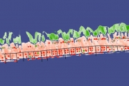 fig3.Erosional Loss and Overwash Fans after Katrina. Red dots are houses. (courtesy USGS