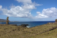 fig8-rapa-nui