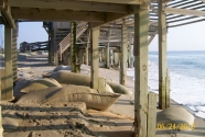 Figure-4-218-Loc. 6, South Nags Head